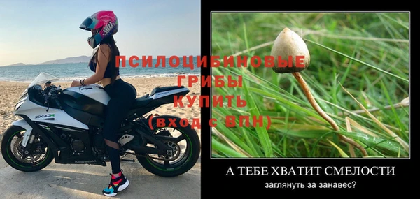 бутират Медвежьегорск